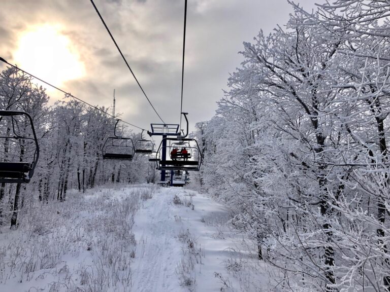 Mountain Coaster Camp Fortune