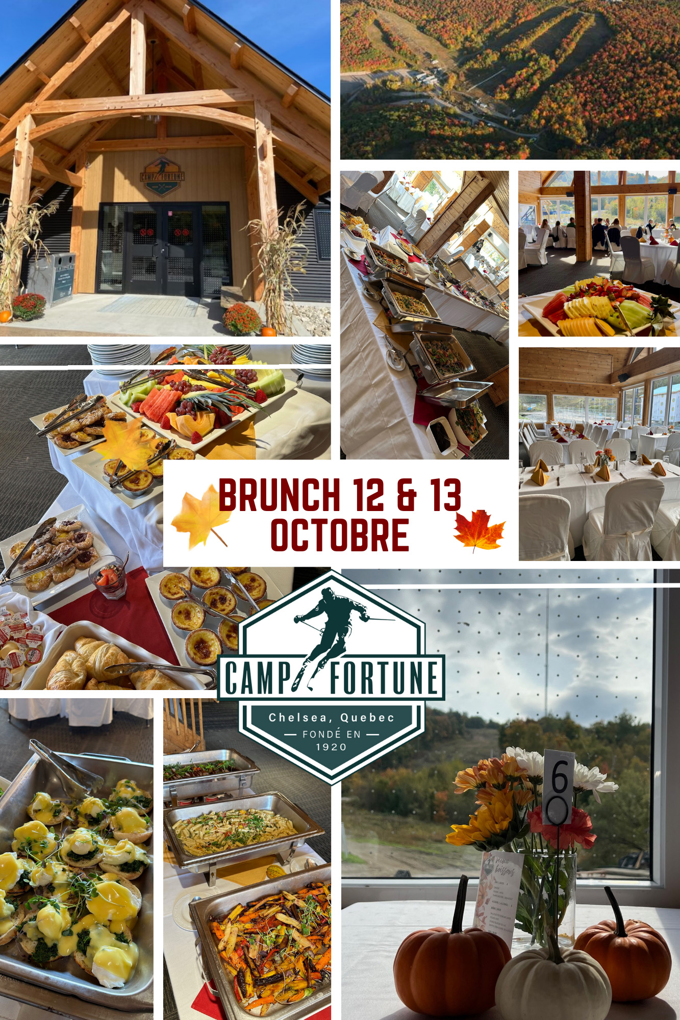 Camp Fortune: Ottawa Ski Hill, Aerial Park, Peak to Peak Zipline